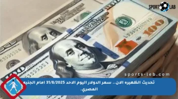 تحديث الظهيرة الآن.. سعر الدولار اليوم الأحد 31/8/2025 أمام الجنيه المصري.